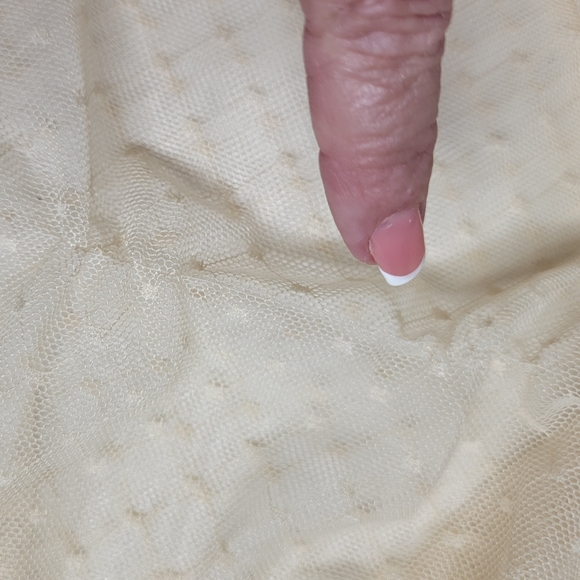 Windsor Natural beige sheer lace blouse size S vintage inspired - Picture 10 of 17